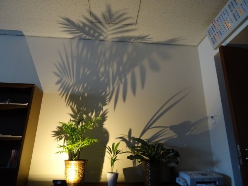 18121673_1061366587340841_4899958823525829248_o