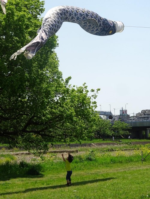 18193708_1064525570358276_3726098040577569636_n