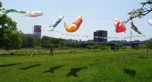 18216693_1064526130358220_1273354758925760009_o