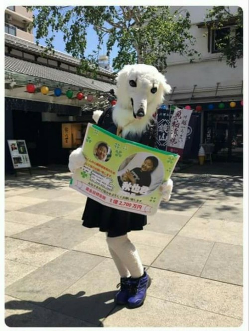 18221616_1271441392975352_9044010327530187509_n