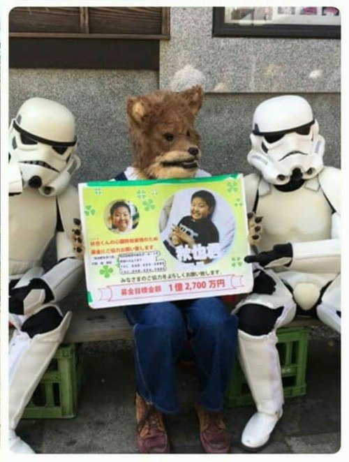 18221984_1271441339642024_890823585652799962_n