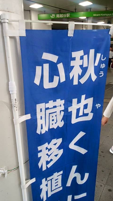 18402580_1072003746277125_5654038841628921262_n