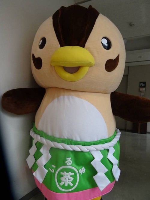 18402858_1072703969540436_5982049063627522925_n