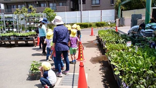 18403723_1072661982877968_3354870680659110321_n