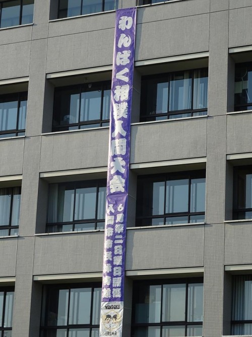 18557313_1079266628884170_5386391139498350176_n