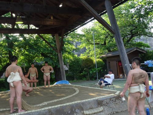 18595294_1079263908884442_5182350766831679768_o