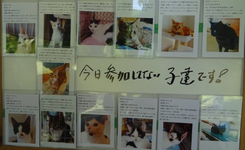 18620565_1078429882301178_7017773966376165374_o