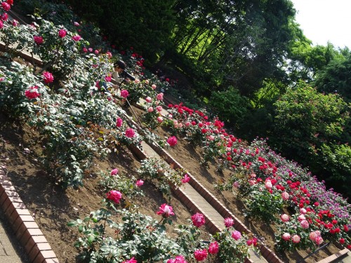 18672929_1079134545564045_6082739969218895027_o