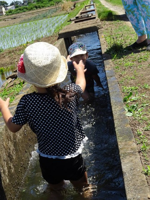 18813538_1088094441334722_6080982354845263414_n