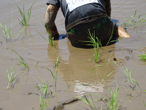 18815002_1088097108001122_1574367495740427863_o