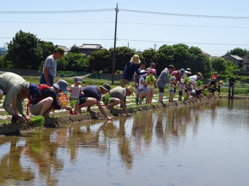 18815465_1088095578001275_179015592430140409_o