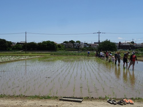 18836954_1088360441308122_3692397411510028174_o