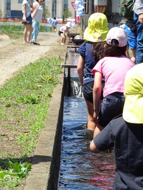 18839081_1088094624668037_2051210250150102379_n