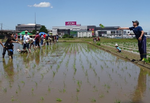 18839522_1088345087976324_1131323888411814451_o