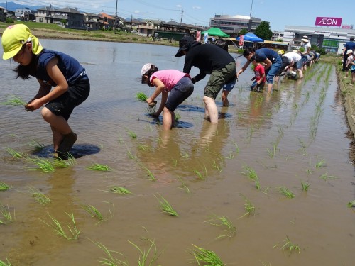 18879897_1088357957975037_8792548583235176426_o