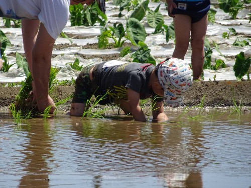 18880043_1088097644667735_2029473137021961708_o