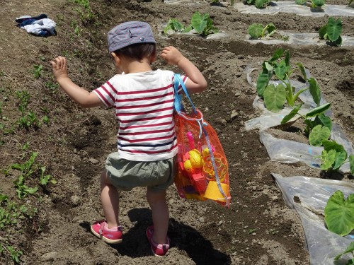 18891788_1088346017976231_8847992632522213011_o