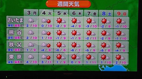 ２０２５年２月３日の活動